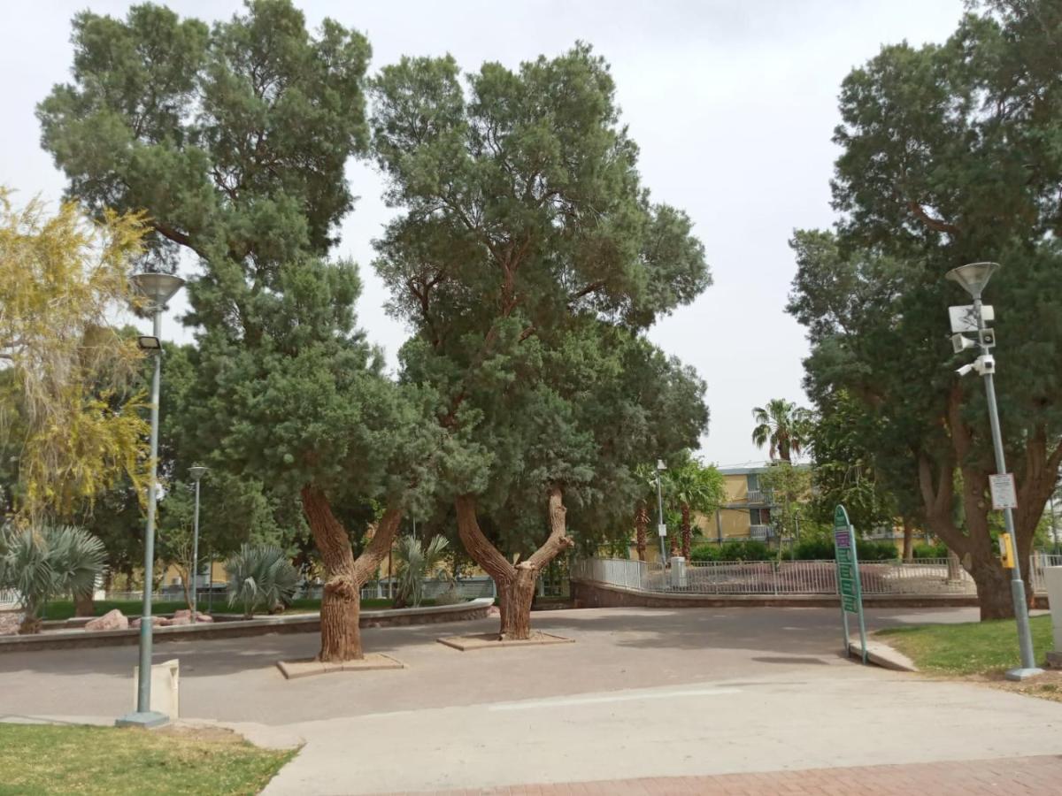 Ofir, Nice Small Unit, 123เอลัต ภายนอก รูปภาพ